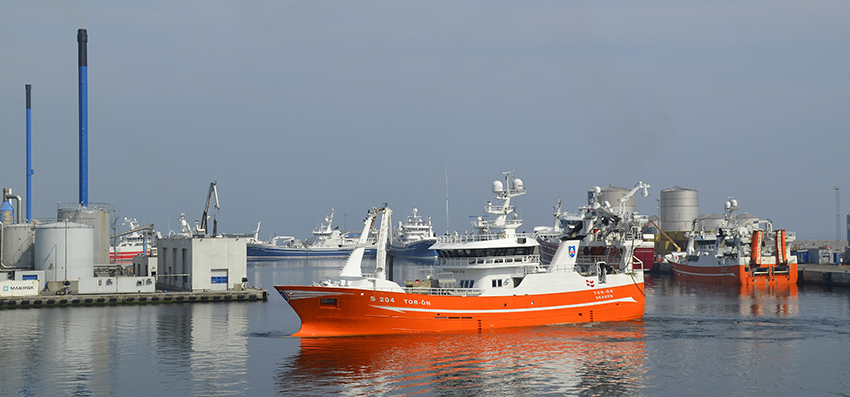 Skagen Havn konsoliderer igen sin position som Danmarks største fiskerihavn