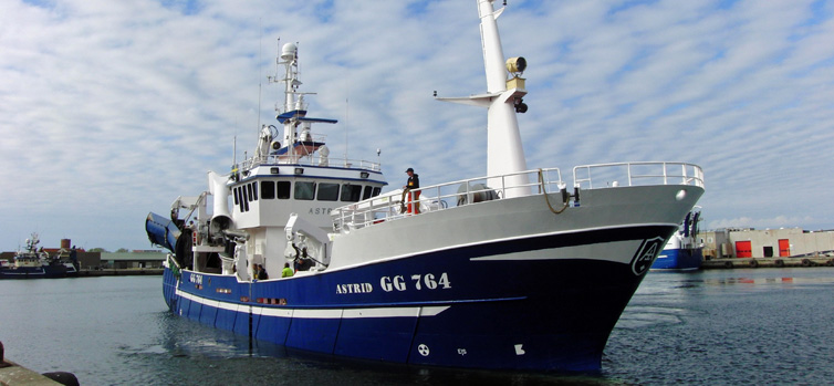 Sæsonens første matjessild er landet i Skagen Havn