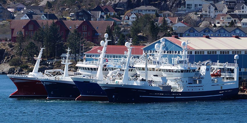 Skagen Havn indgår intentionsaftale med Egersund Trål AS om etablering af nyt vodbinderi