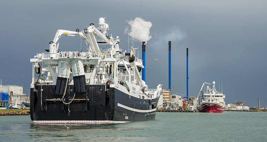 Der blev landet fisk for knap én milliard kroner i Skagen Havn i 2016