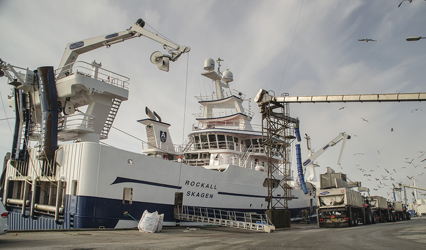 Næsten halvdelen af landets fisk landes nu i Skagen