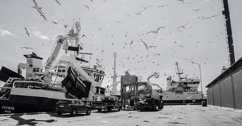Danmarks største fiskerihavn ligger fortsat i Skagen
