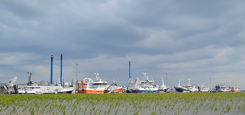 Skagen Havn konsoliderer førerpositionen i Dansk fiskeri.